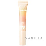 Barenbliss Start-Over Concealer