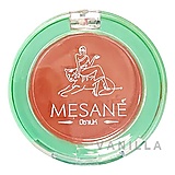Mesané Sam Kler 3 IN 1 Best Friends Beauty Blam