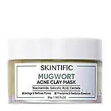 SKINTIFIC Mugwort Anti Acne Clay Mask