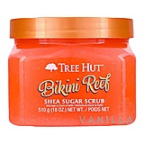 TREEHUT Bikini Reef Shea Sugar Scrub