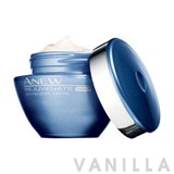 Avon Anew Rejuvenate Revitalizing Night Cream