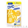 DHC Ginkgo Biloba Extract