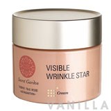 Etude House VISIBLE WRINKLE STAR Cream