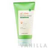 Etude House AC Clinic Acne Foam Cleanser