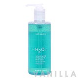H2O+ Natural Spring Antibacterial Hand Cleanser