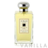 Black vetyver café cologne sales