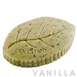 L'occitane Verbena Leaf Soap