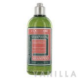 L'occitane Shampoo for Dry & Damaged Hair