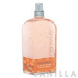 L'occitane Peach Blossom Eau de Toilette