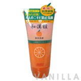 Meishoku Wakansho Facial Foam