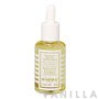Sisley Extract for Hair and Scalp