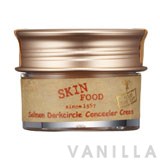 Skinfood Salmon Darkcircle Concealer Cream