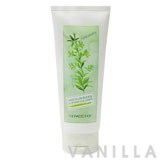 The Face Shop Phyto Powder In Foam Cleanser - Rosemary