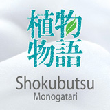 Shokubutsu Monogatari / โชกุบุสซึ โมโนกาตาริ