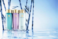 Estee Lauder