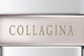 Collagina