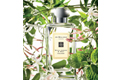 Jo Malone ครีเอตของขวัญสุดสร้างสรรค์ให้ผู้หญิงคนสำคัญของคุณ 