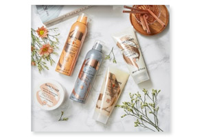Sanctuary Spa